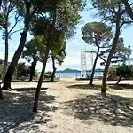 Felix Biograd *