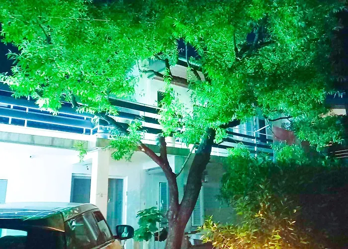 Felix Biograd Апартаменты