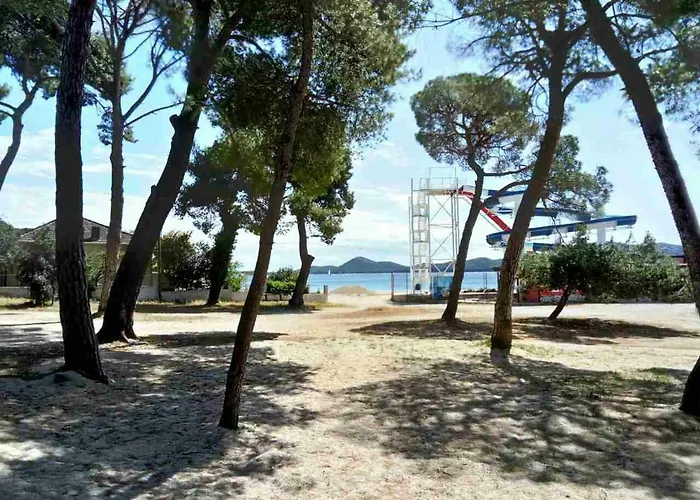 Felix Biograd *