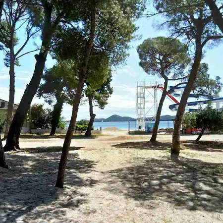 Felix Biograd *