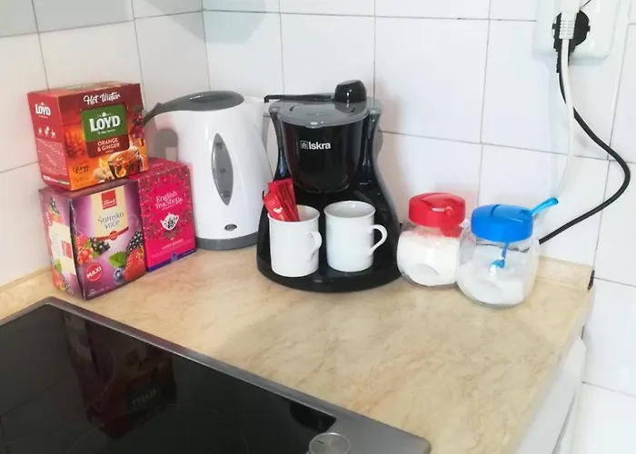 Felix Biograd דירה *