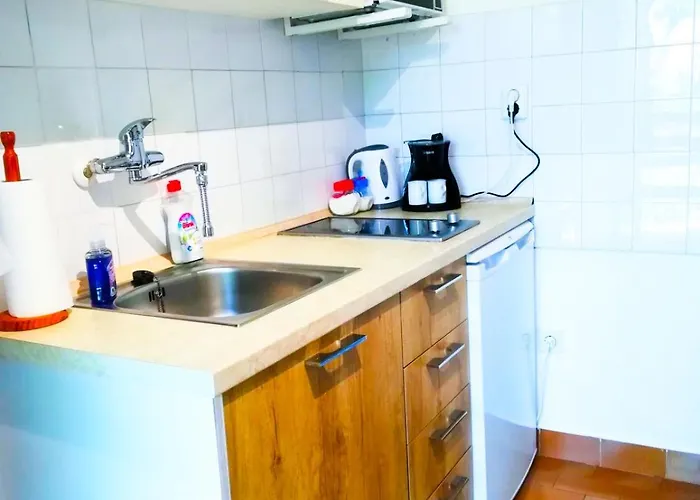 Felix Biograd דירה ביוגראד נה מורו