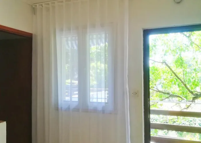 Felix Biograd דירה *